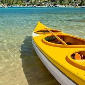 Meet your Posher, Darshana